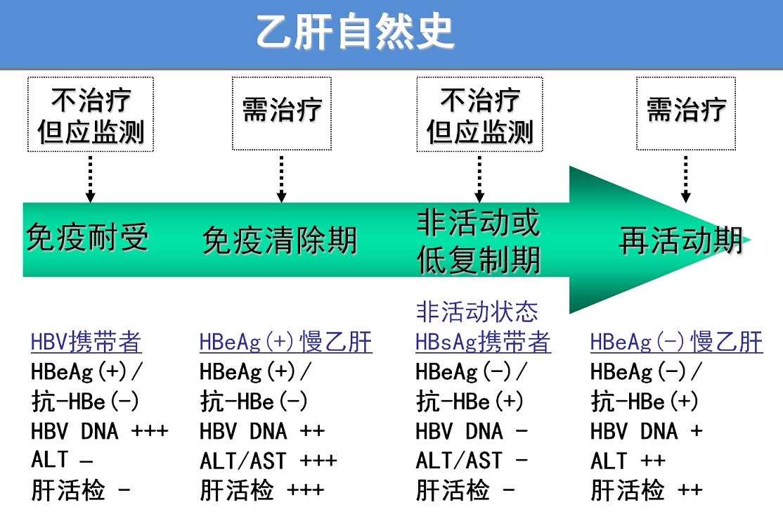 慢性乙型肝炎诊断相关概念什么是携带者携带者和乙肝什么关系