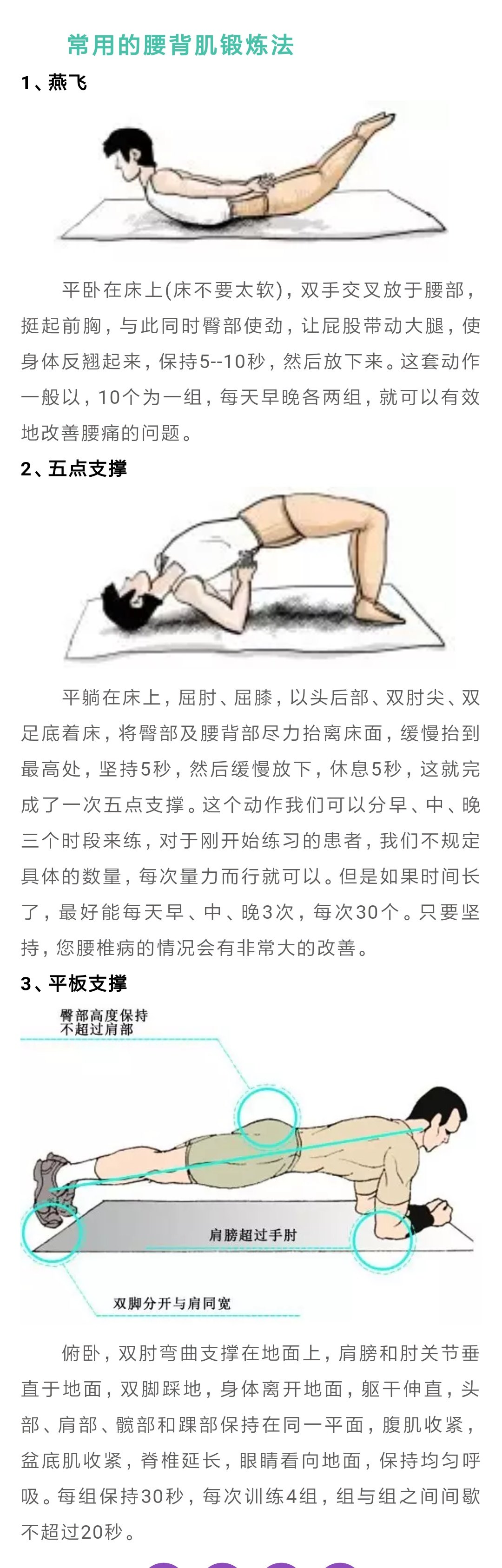 锻炼腰背肌的方法图片