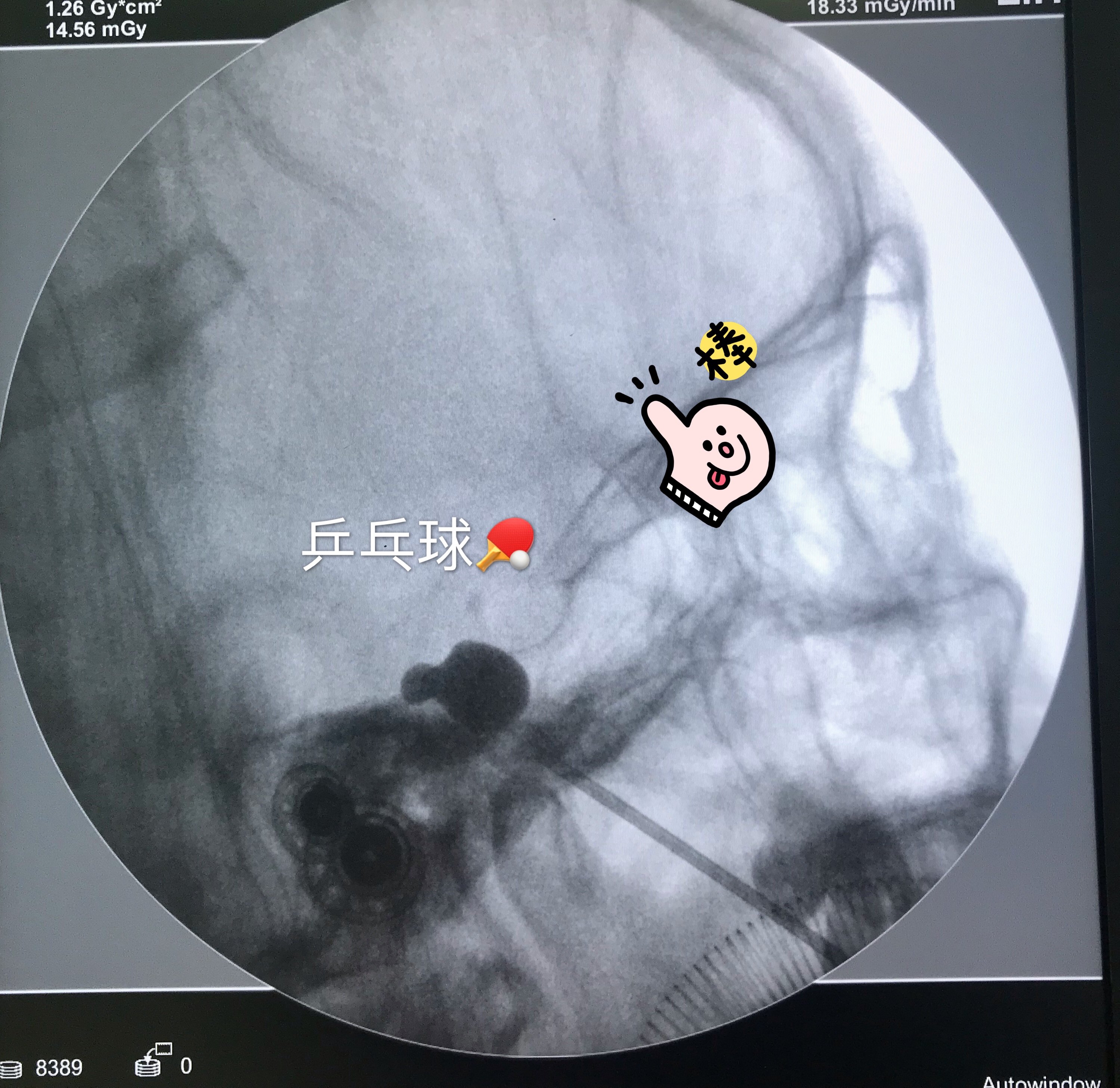暂无