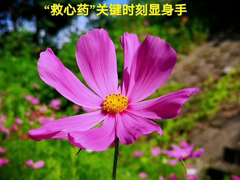 圖文圖片