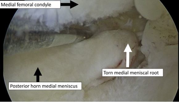 1588683543973530.jpg 截图10.jpg