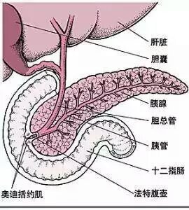 圖文圖片