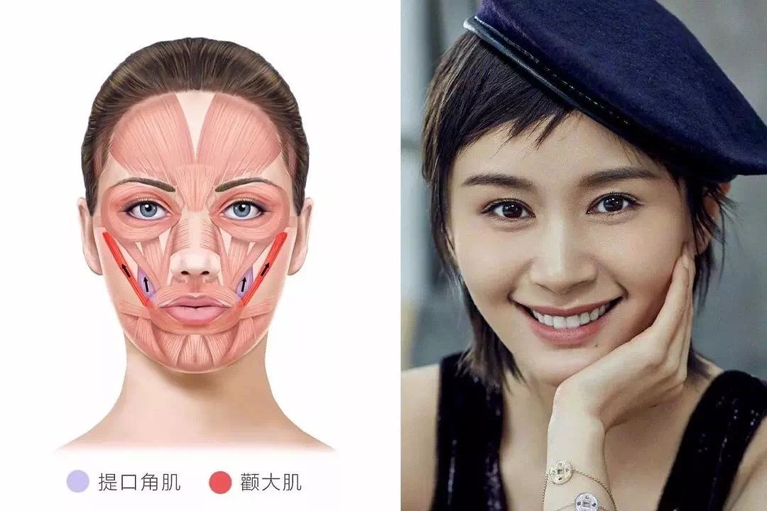 提口角肌和颧大肌负责的则是面部和嘴角的表情,这两对肌肉发达的人,笑