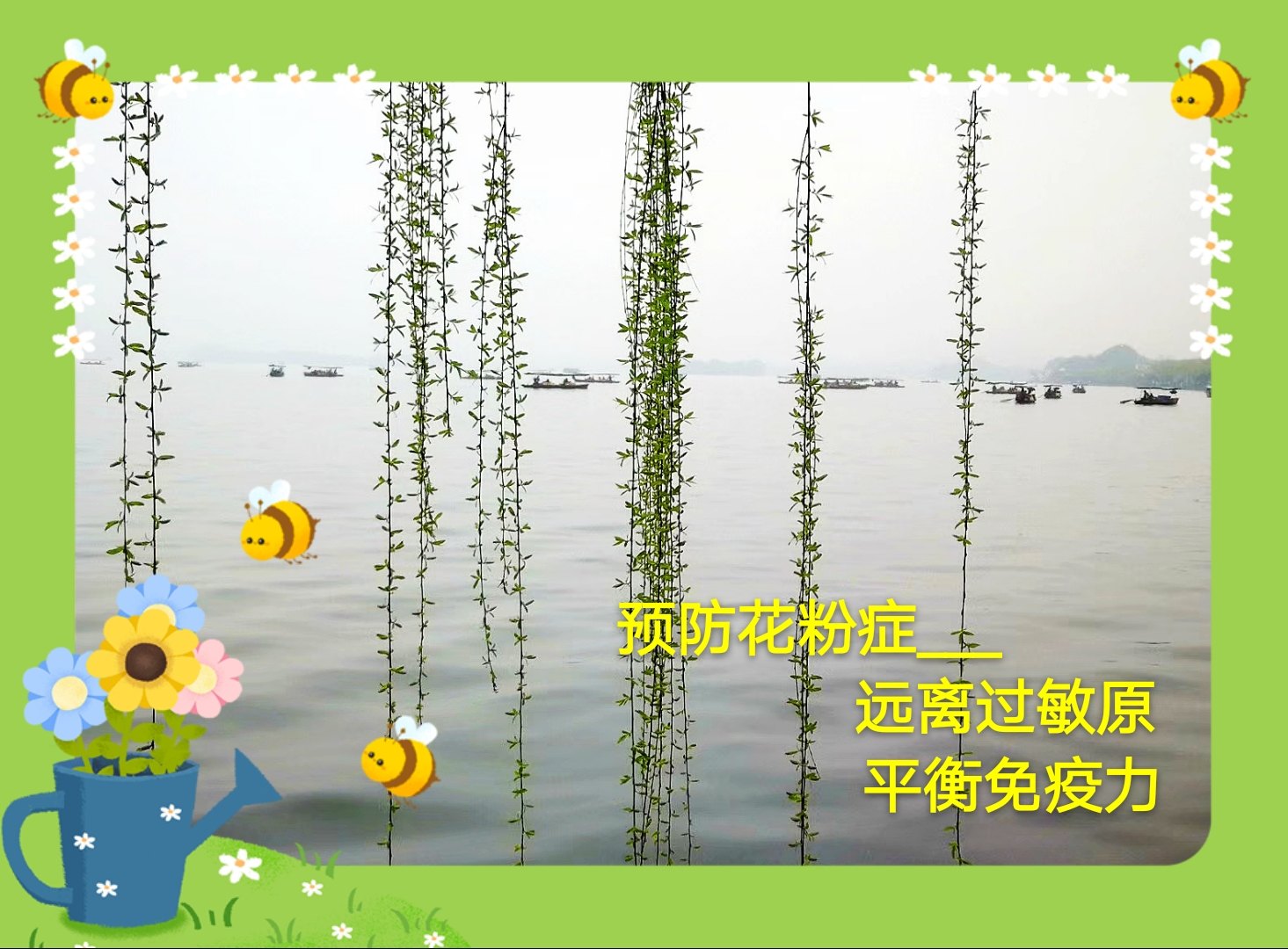 柳絮飞扬花满城 花粉过敏须预防 过敏性鼻炎 过敏性鼻炎 柳絮飞扬花满城 花粉过敏须预防 过敏性鼻炎 过敏性鼻炎