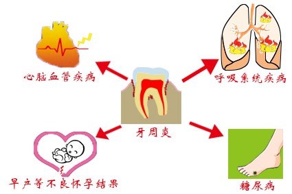 心血管.jpg