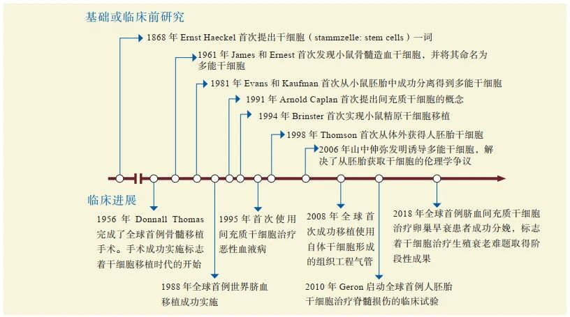 干细胞研究领域的发展.jpg