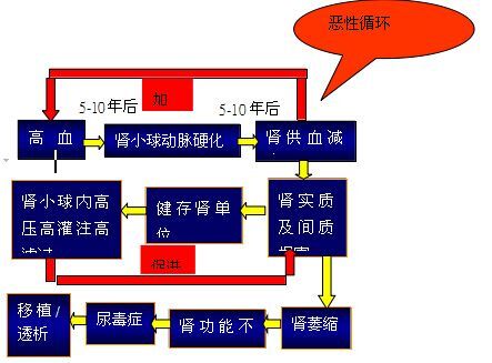 高血壓腎病早知道診斷治療與預防