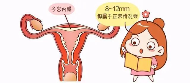 圖文圖片