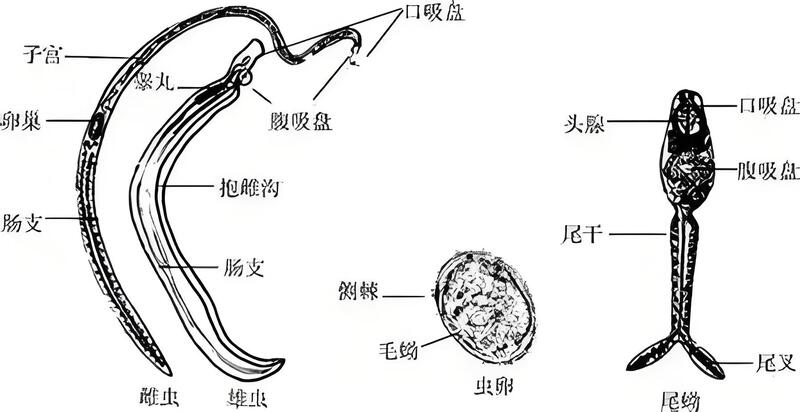 微信图片_20241129101748.jpg