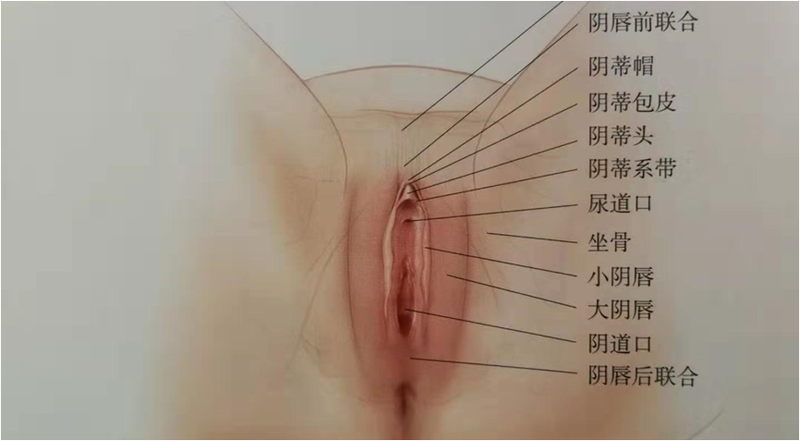 圖文圖片