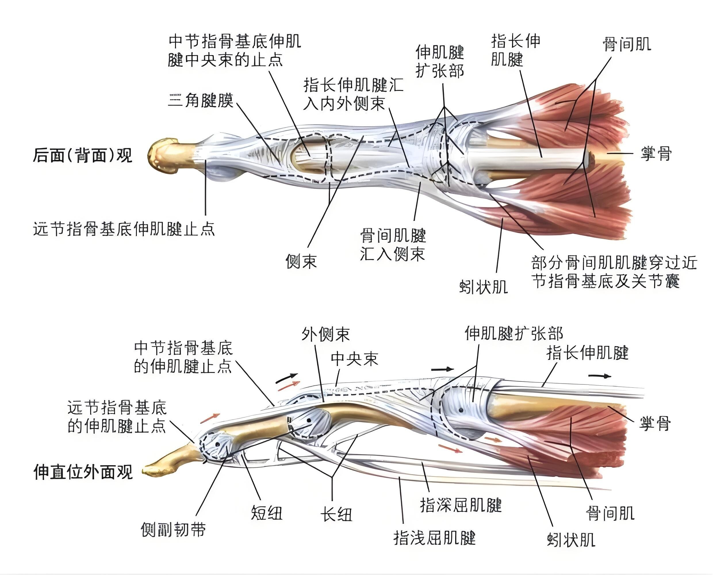 圖文圖片