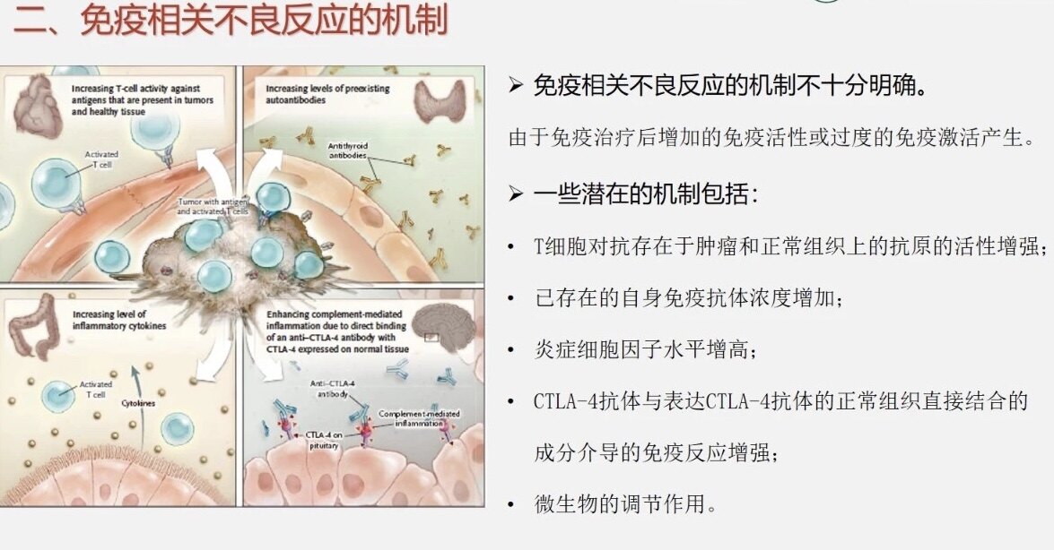 免疫治疗相关不良反应 - 好大夫在线