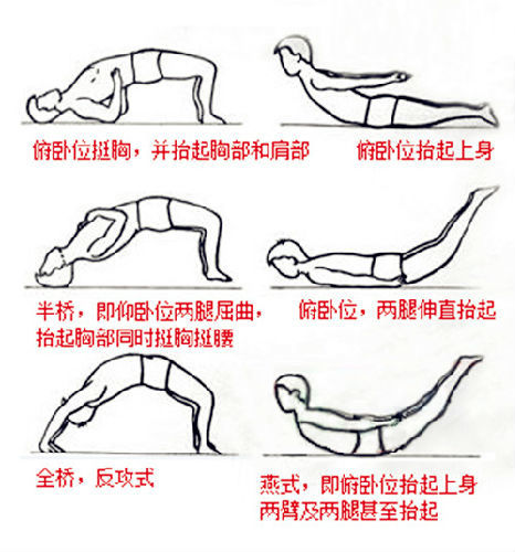 腰背肌功能锻炼 