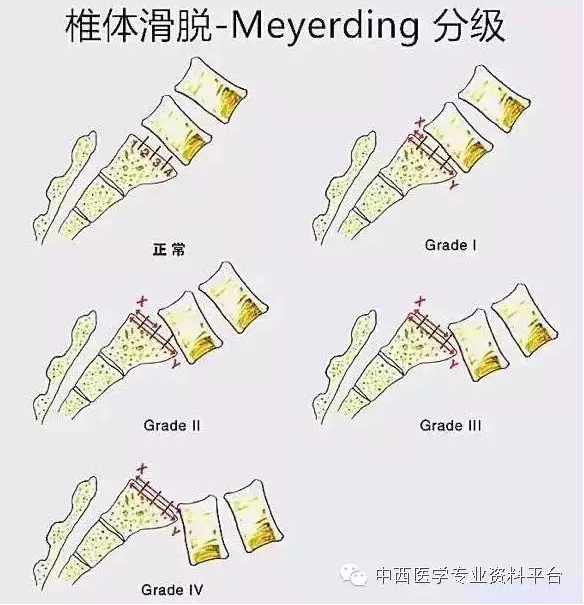 暂无