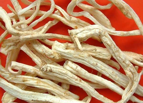 中药桔梗的功效与作用