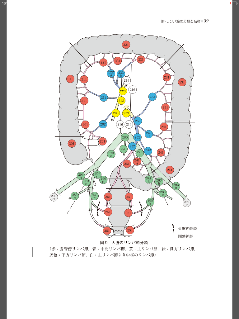 结肠淋巴结分组图片