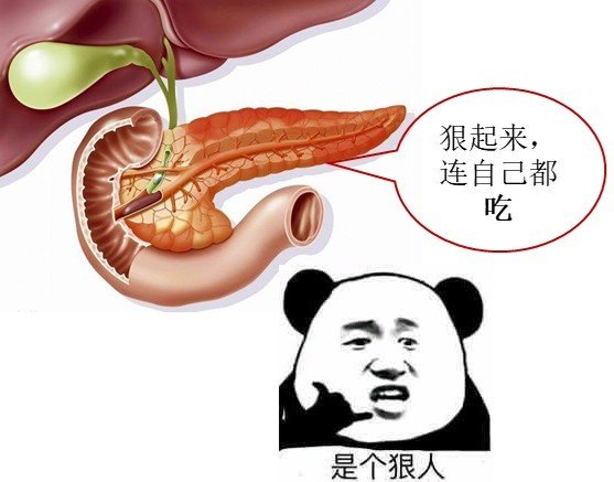 那要警惕急性胰腺炎_急性胰腺炎_介紹_發病原因_症狀表現 - 好大夫