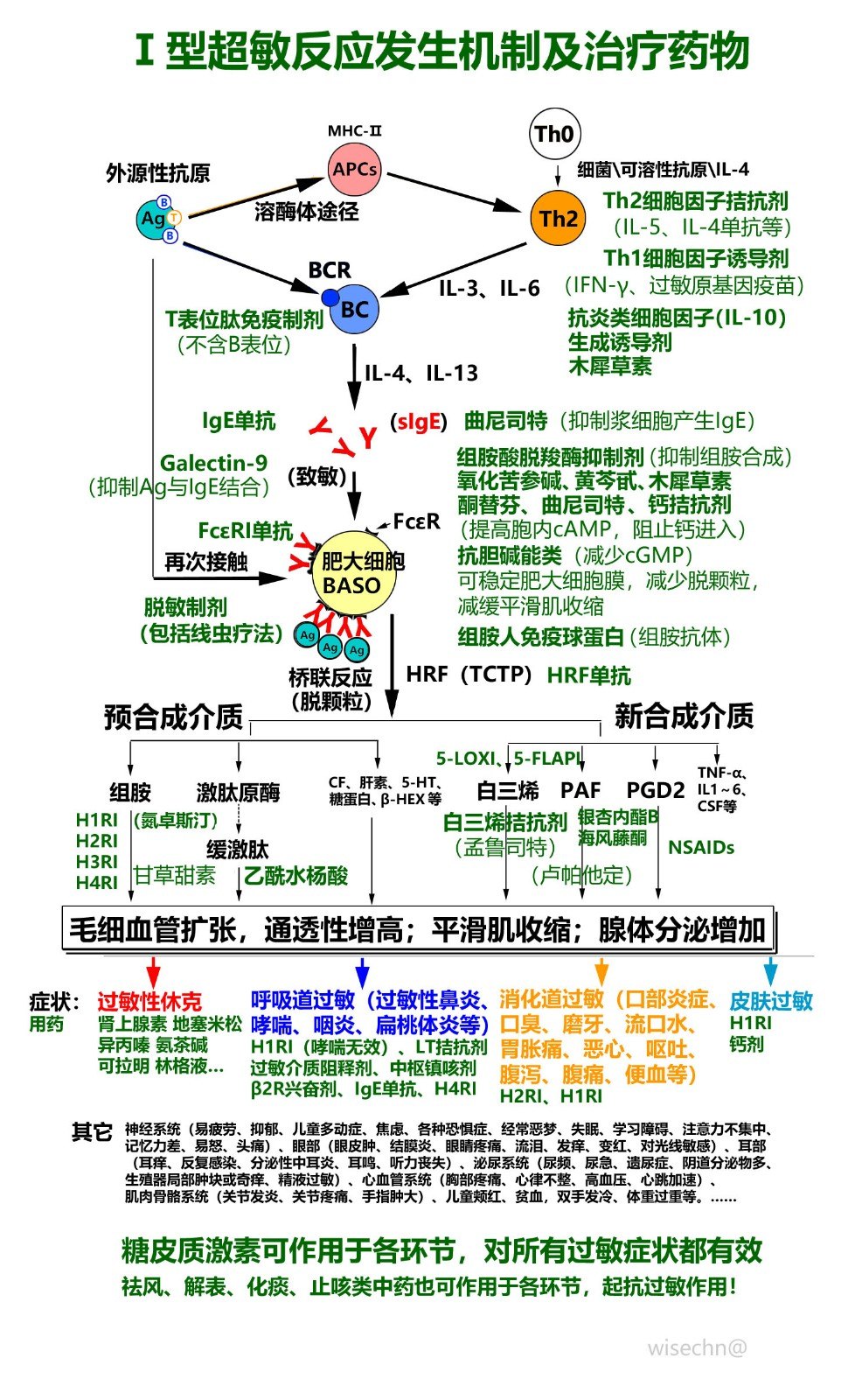 Ⅰ型超敏反應發生機制及治療藥物.jpg