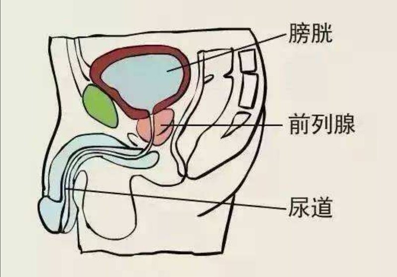圖文圖片