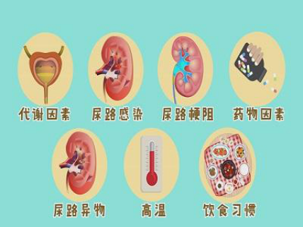 暂无