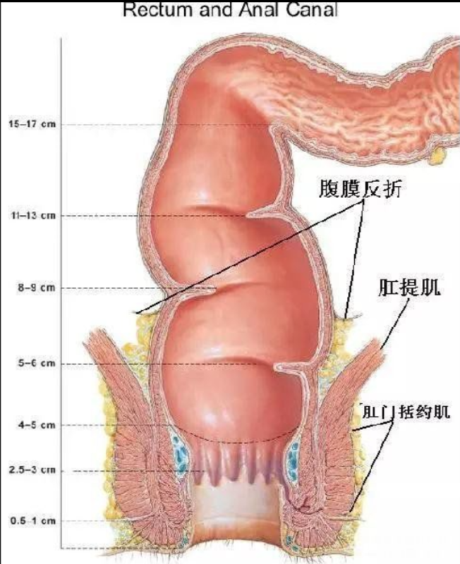 图文图片