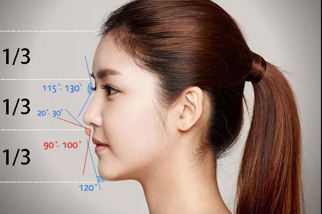 什么样的鼻子才是好看的?_鼻部整形_鼻部整形治疗介绍 - 好大夫在线
