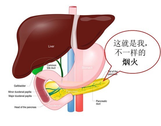 那要警惕急性胰腺炎