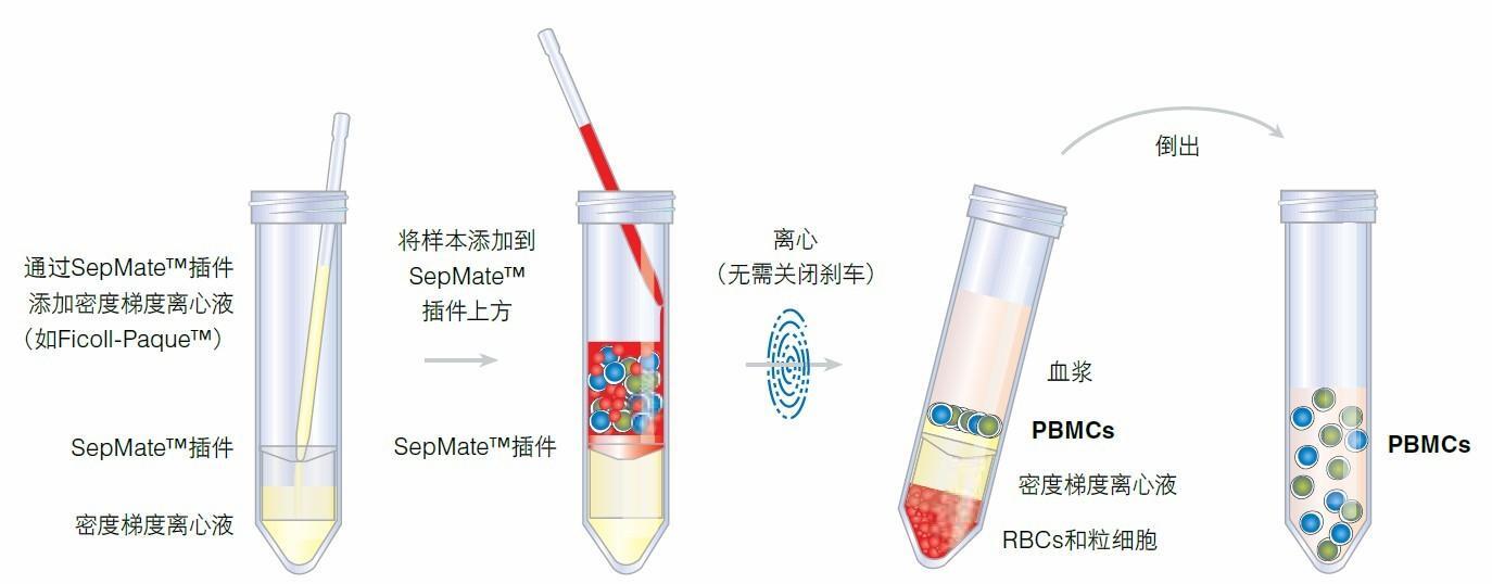 1614772717231460.jpg 5.jpg