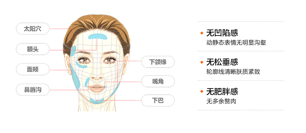 面部轮廓示意图图片