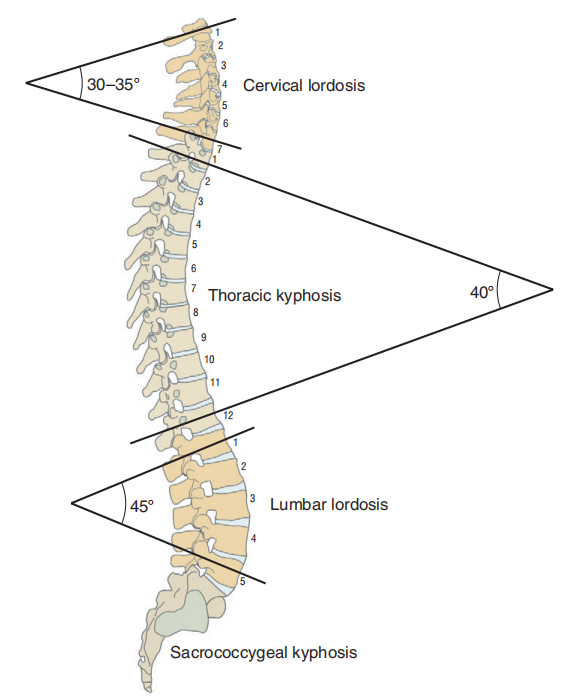 青少年脊柱侧弯及治疗案例