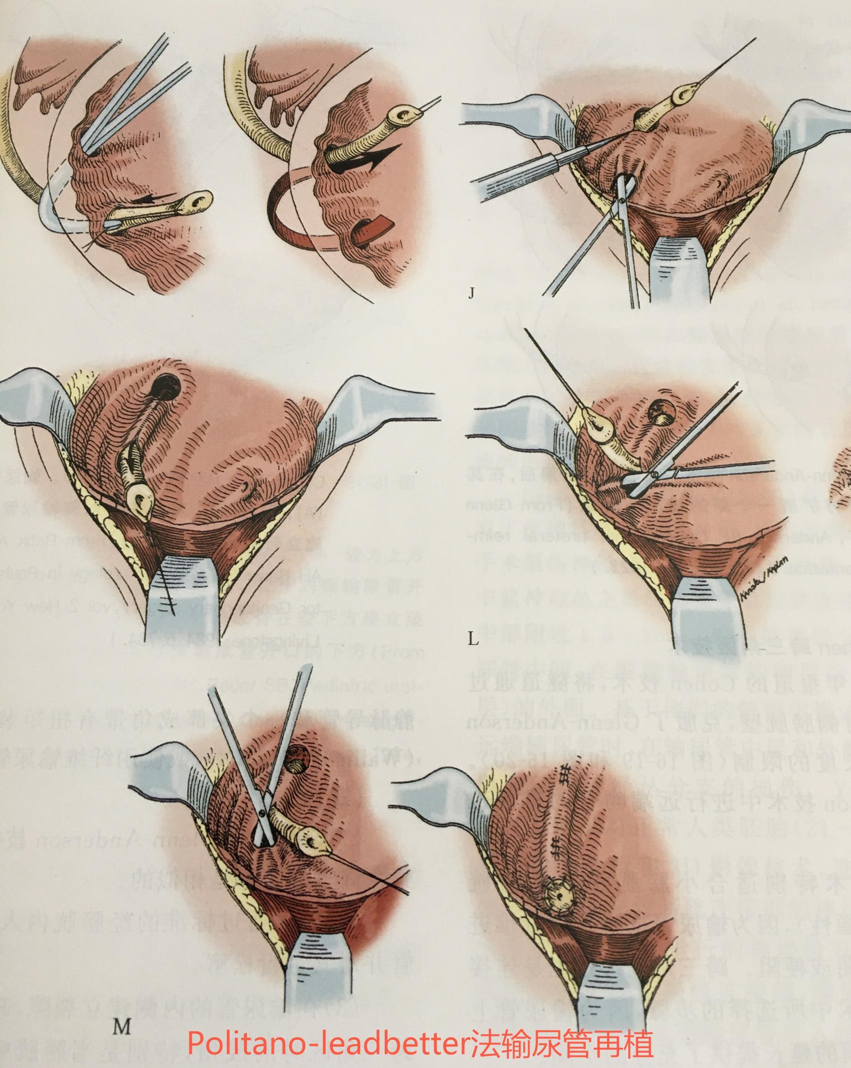 1616992597205479.jpg