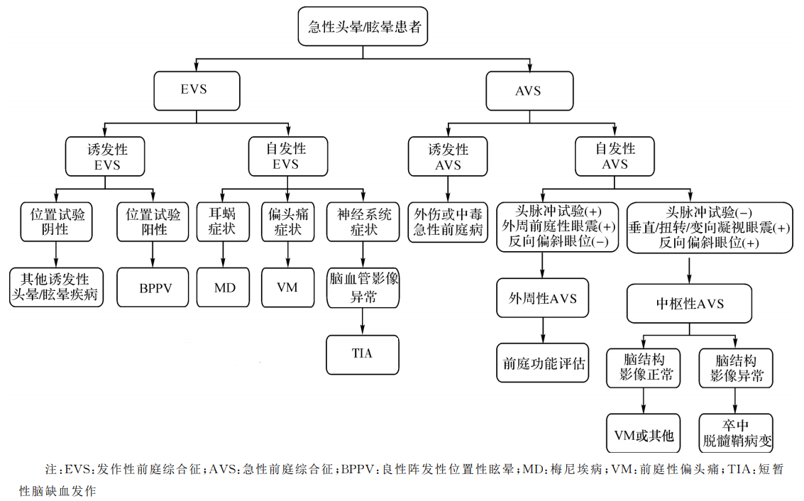 眩晕鉴别.png