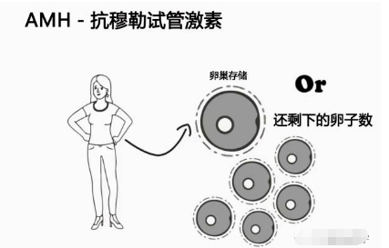 暂无