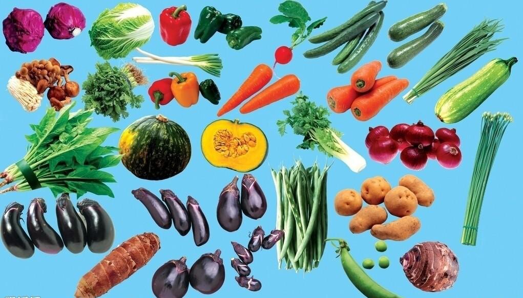 1611210789998462.jpg 蔬菜.jpg