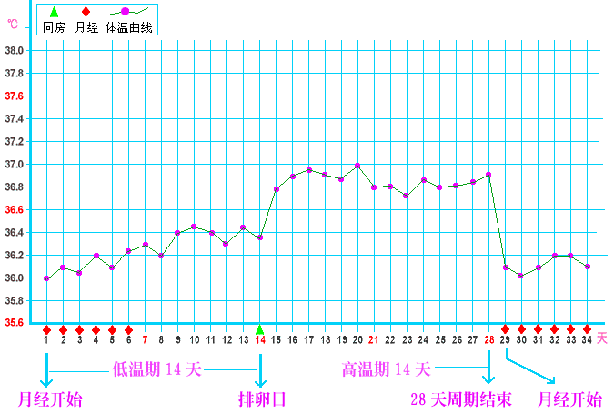 怎样通过测体温提高受孕率 备孕