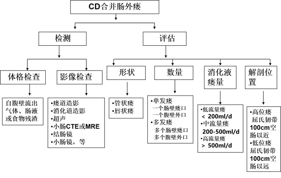 克罗恩病肠瘘和腹腔脓肿的内科优化治疗 克罗恩病 克罗恩病