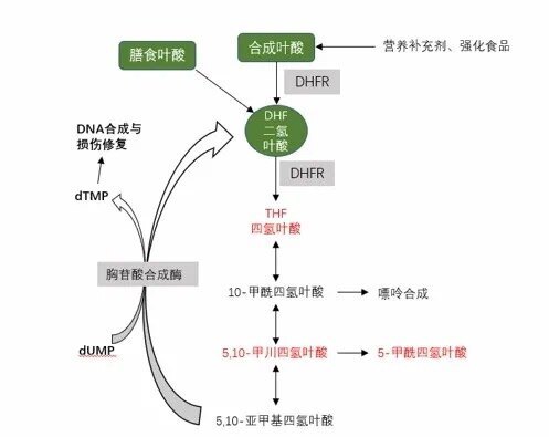 圖文圖片