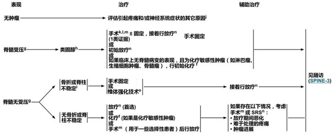 包括馬尾神經綜合徵.f.參見腦和脊髓腫瘤的系統性治療原則(brain-d).