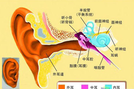 中耳炎是怎么引起的图片