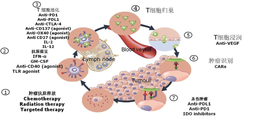 如何优化使用pd1免疫治疗 - 好大夫在线