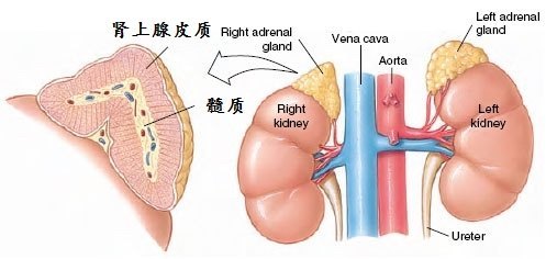 圖文圖片