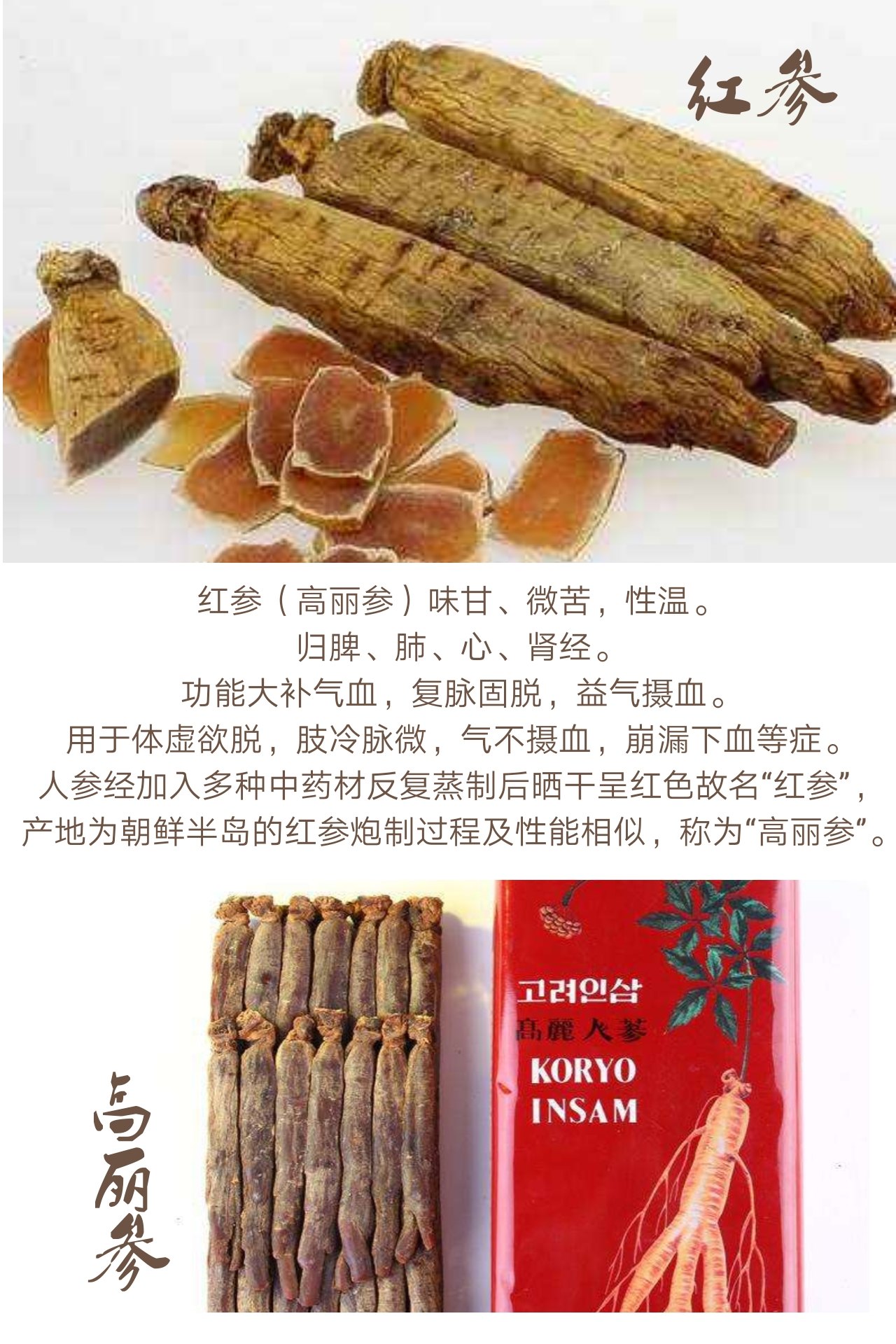 人参药材性状特征图片