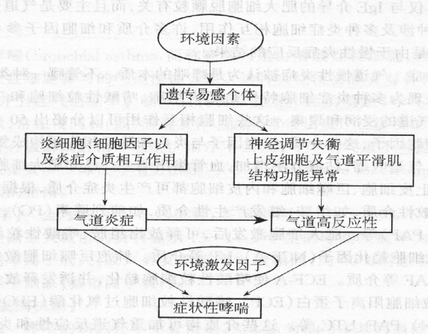 支气管哮喘的发病原因是什么?