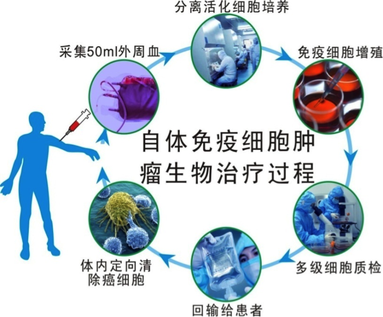 pd1免疫治療與細胞免疫治療是一回事嗎