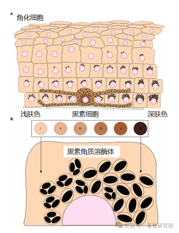 图文图片