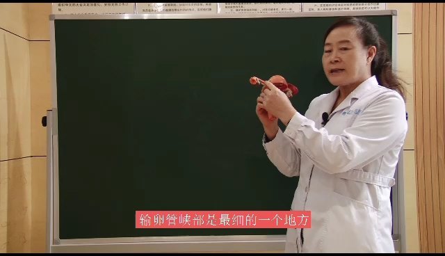 視頻封面