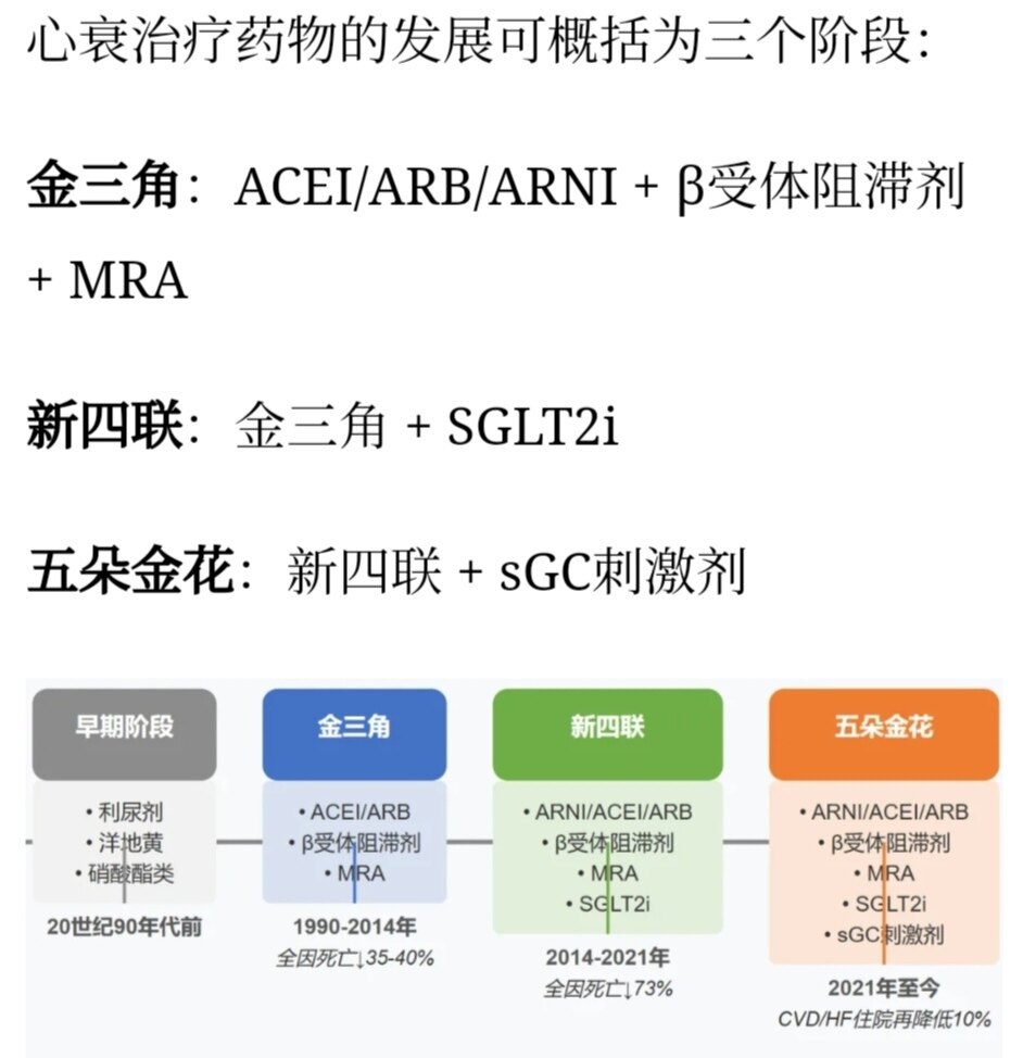 五朵金花”重塑心衰治疗格局_心衰_心衰治疗方式- 好大夫在线