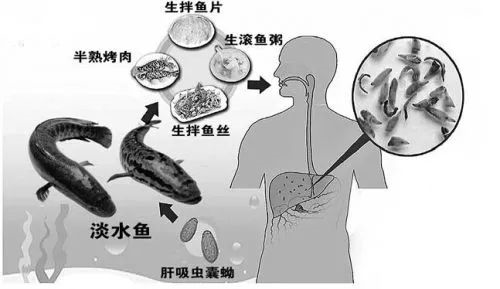 1590121517868011.png image.png