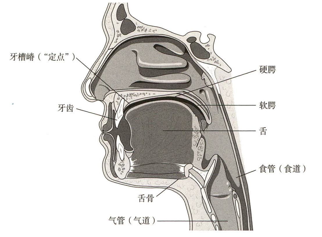 未命名1716292460.png