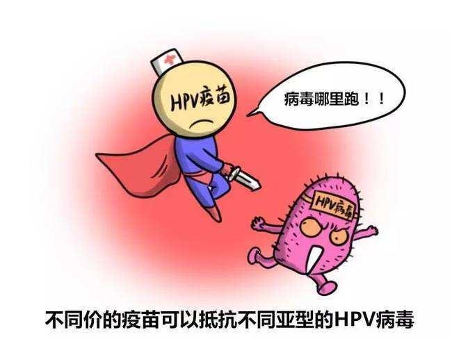 人乳頭瘤病毒hpv感染的前世今生